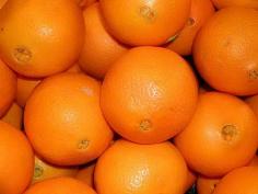 Naranja Ombligo oferta